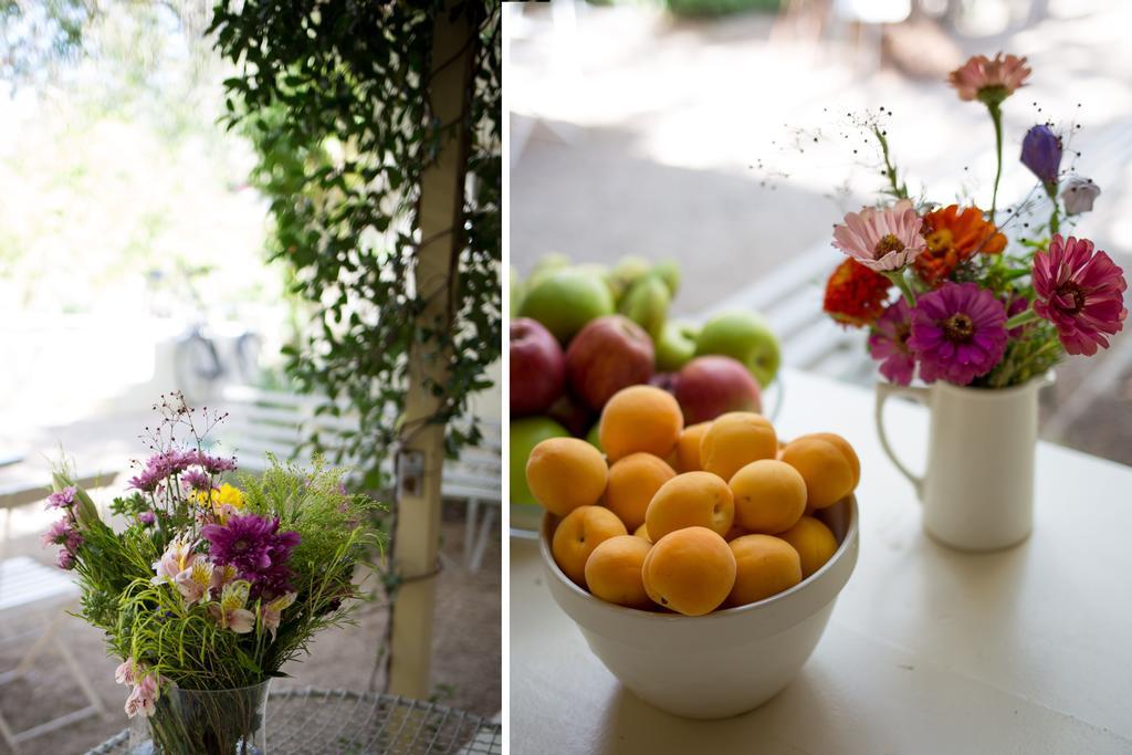 Prince Albert Country Stay Ngoại thất bức ảnh