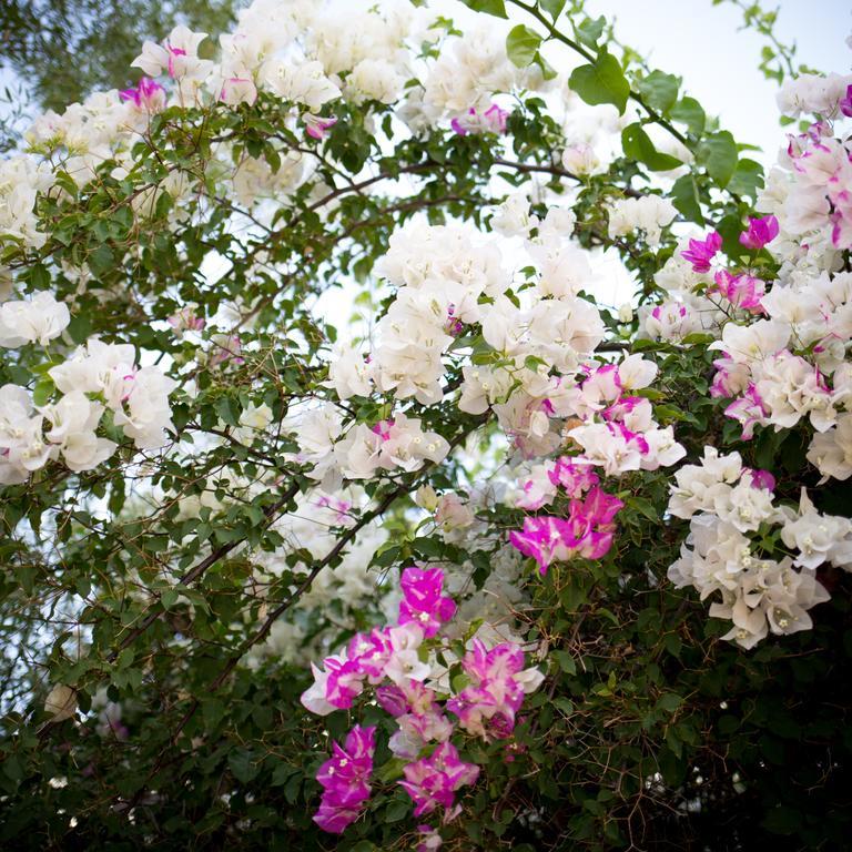 Prince Albert Country Stay Ngoại thất bức ảnh