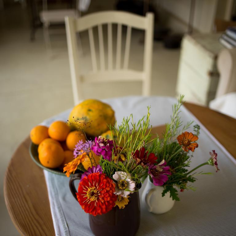 Prince Albert Country Stay Ngoại thất bức ảnh